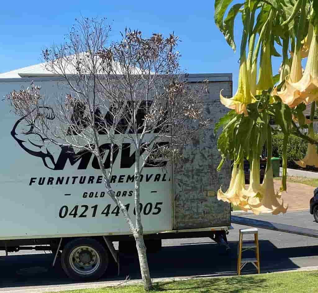 Furniture Removalist on the Gold Coast β Will Move | Will Move Removalist Furniture removalist on the Gold Coast loading furniture into Will Move van