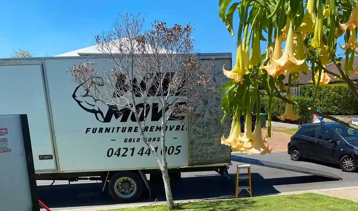 White furniture removal truck parked on a residential street, with a small tree in front and a yellow step ladder nearby; blue sky above.